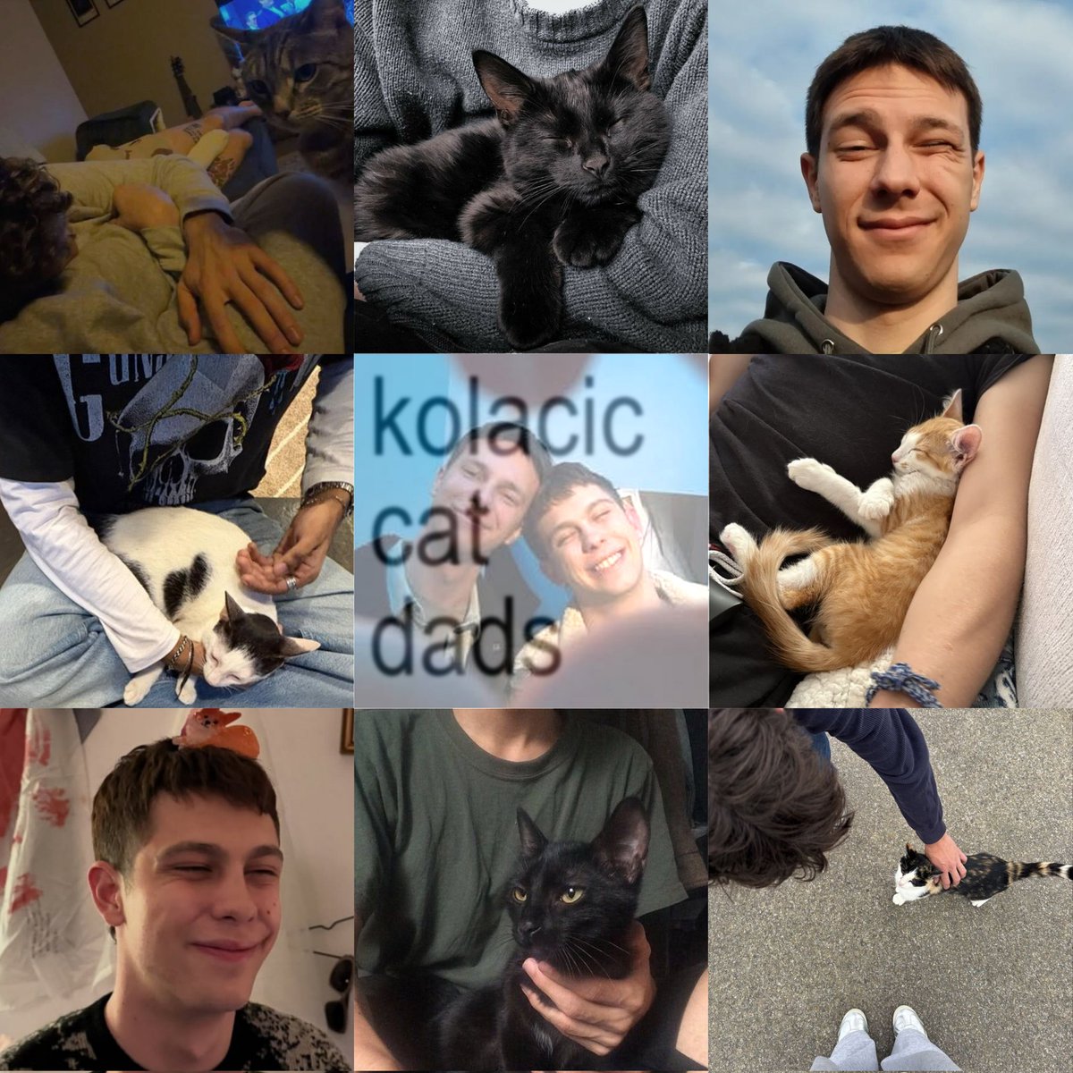 sunshine tweet media