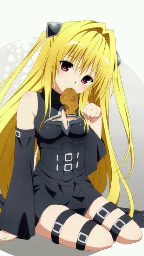 金色の王国民 tweet media