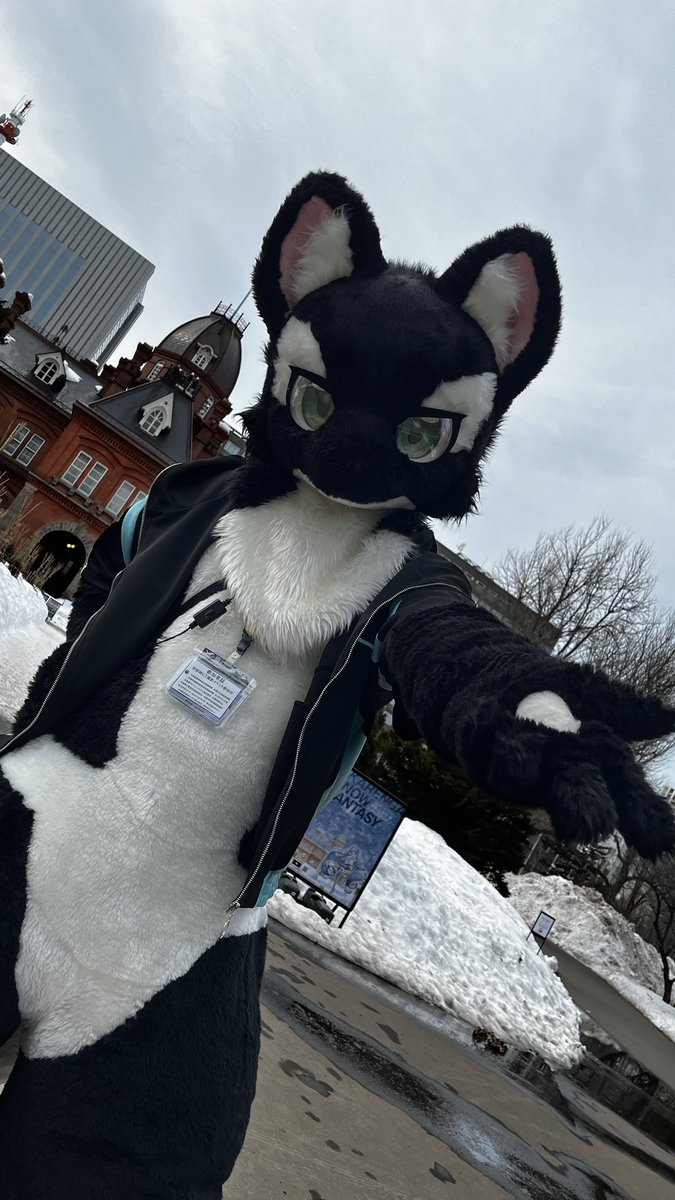 泡鯱@Next▷？？？ tweet media