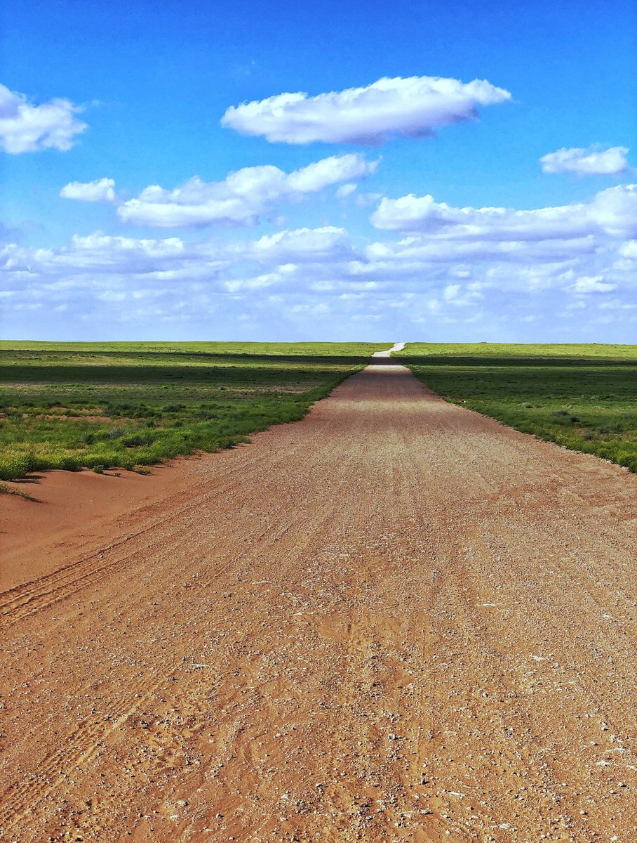 AlShamal Pinterest tweet media