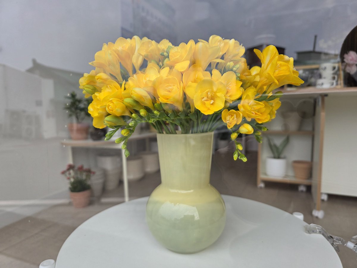 연  하 니 tweet media