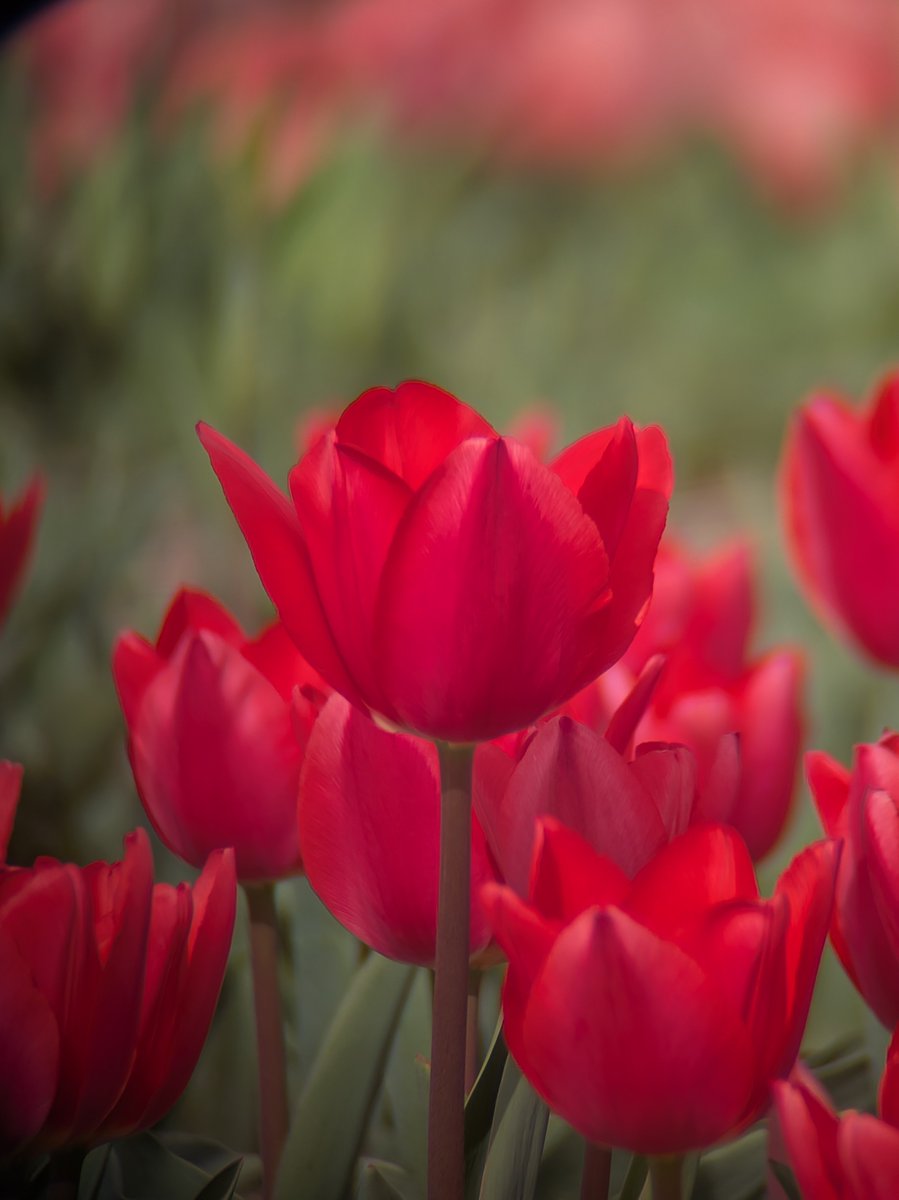 Shin(写真垢) tweet media