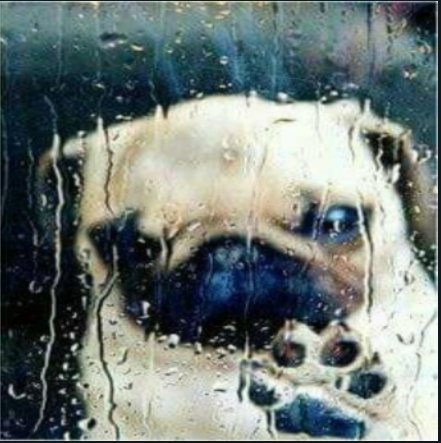 amazonzonzonzonzon tweet media