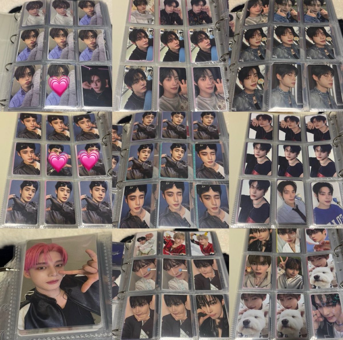 お豆腐信者 tweet media