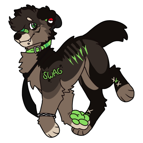 🌈💖ZOMG! 💖🌈 tweet media