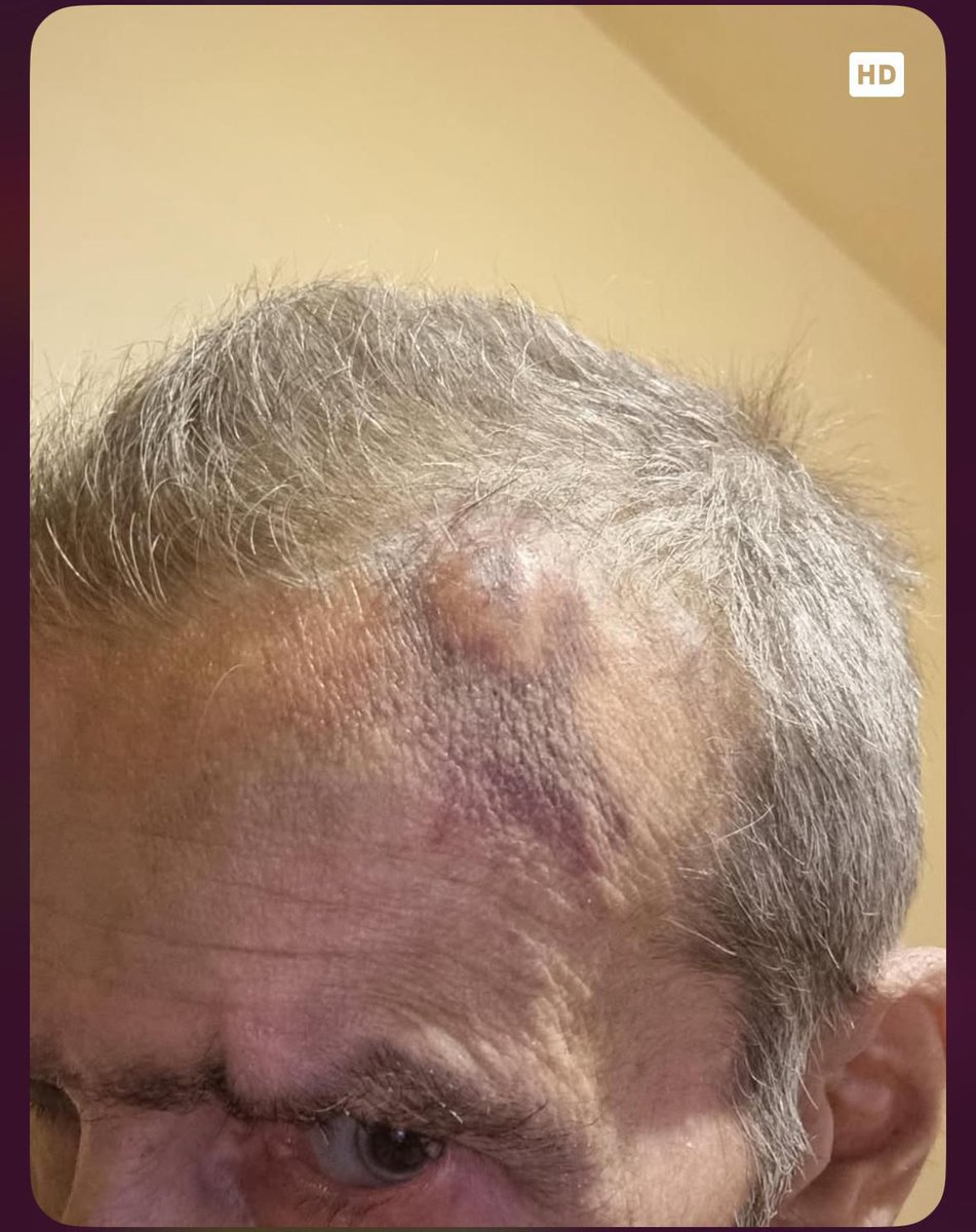 Javad Tavvaf tweet media