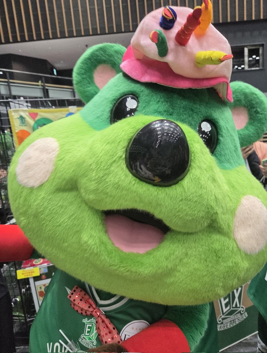 chieranmal's tweet image. 誕生祭での帽子も
よく似合うクオッカ💚
#横浜エクセレンス
#Bリーグマスコット
#pick
#45ピック_80ロール