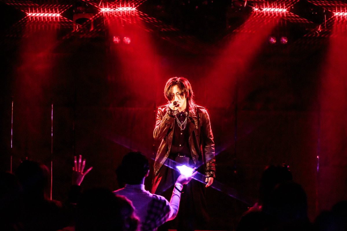 Magnolia tweet media