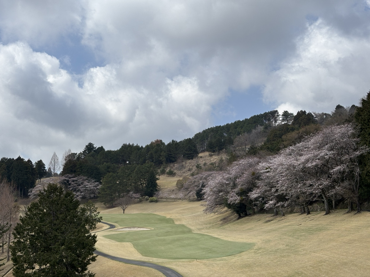 トラスト社会保険労務士法人【東京・蒲田】 tweet media
