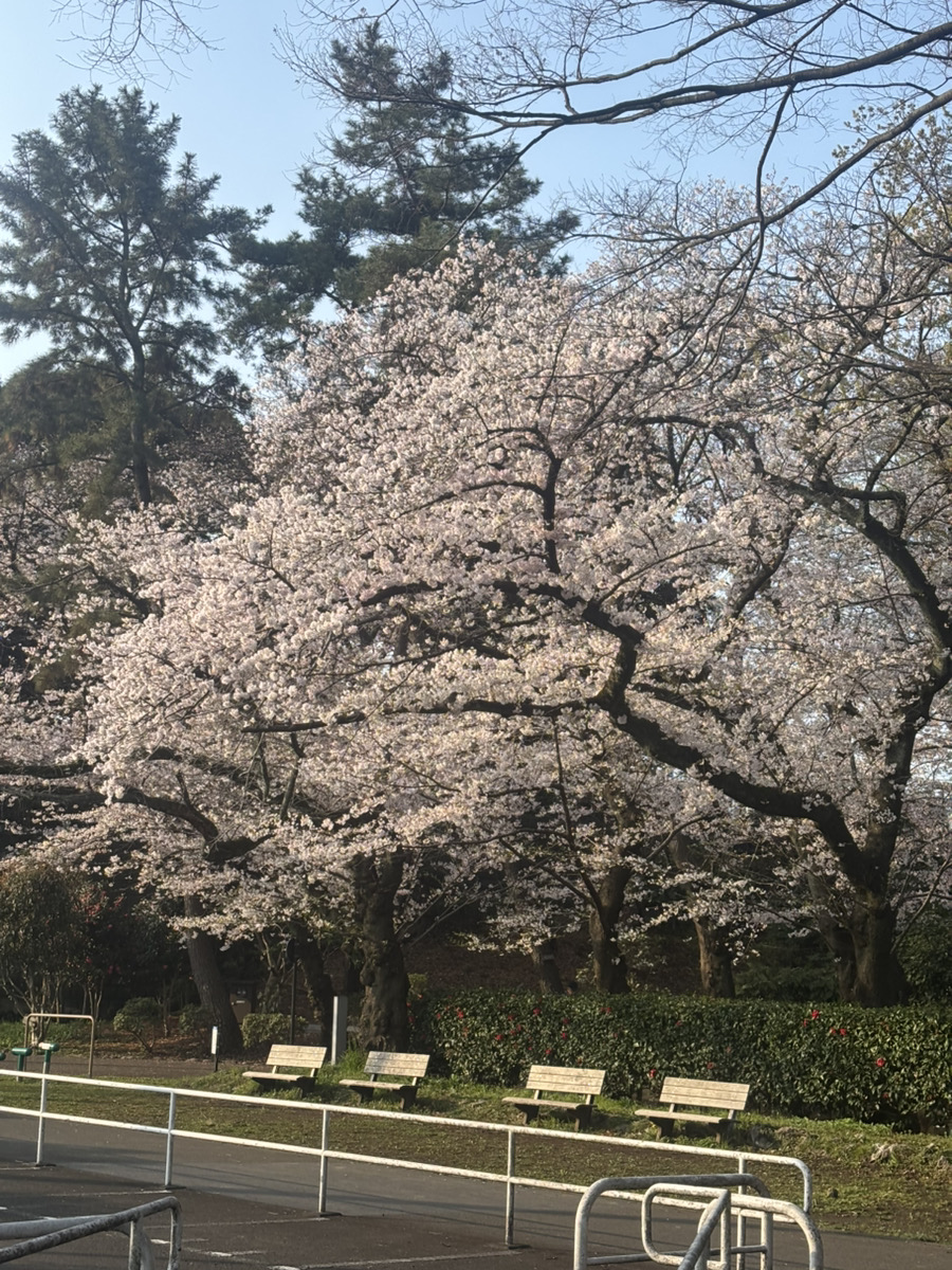 トラスト社会保険労務士法人【東京・蒲田】 tweet media