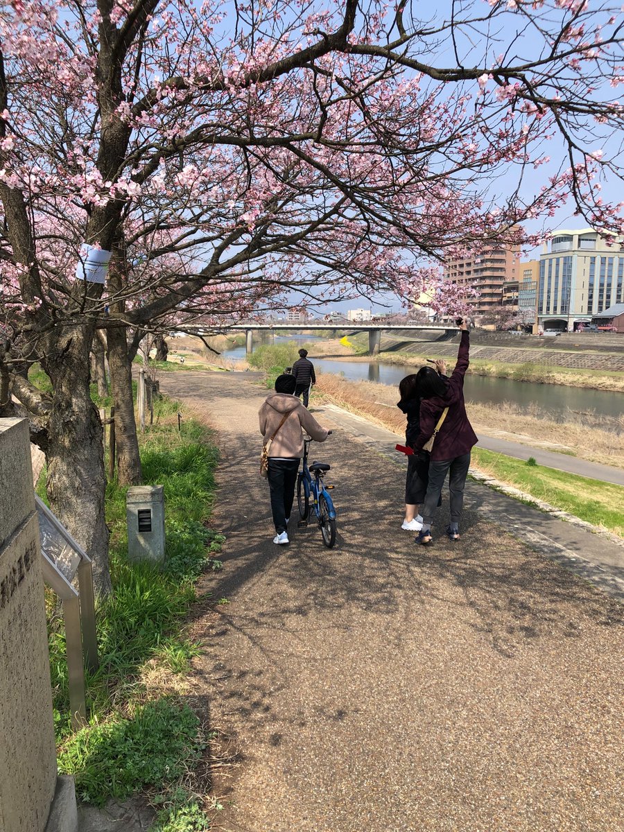 国土交通省　福井河川国道事務所 tweet media