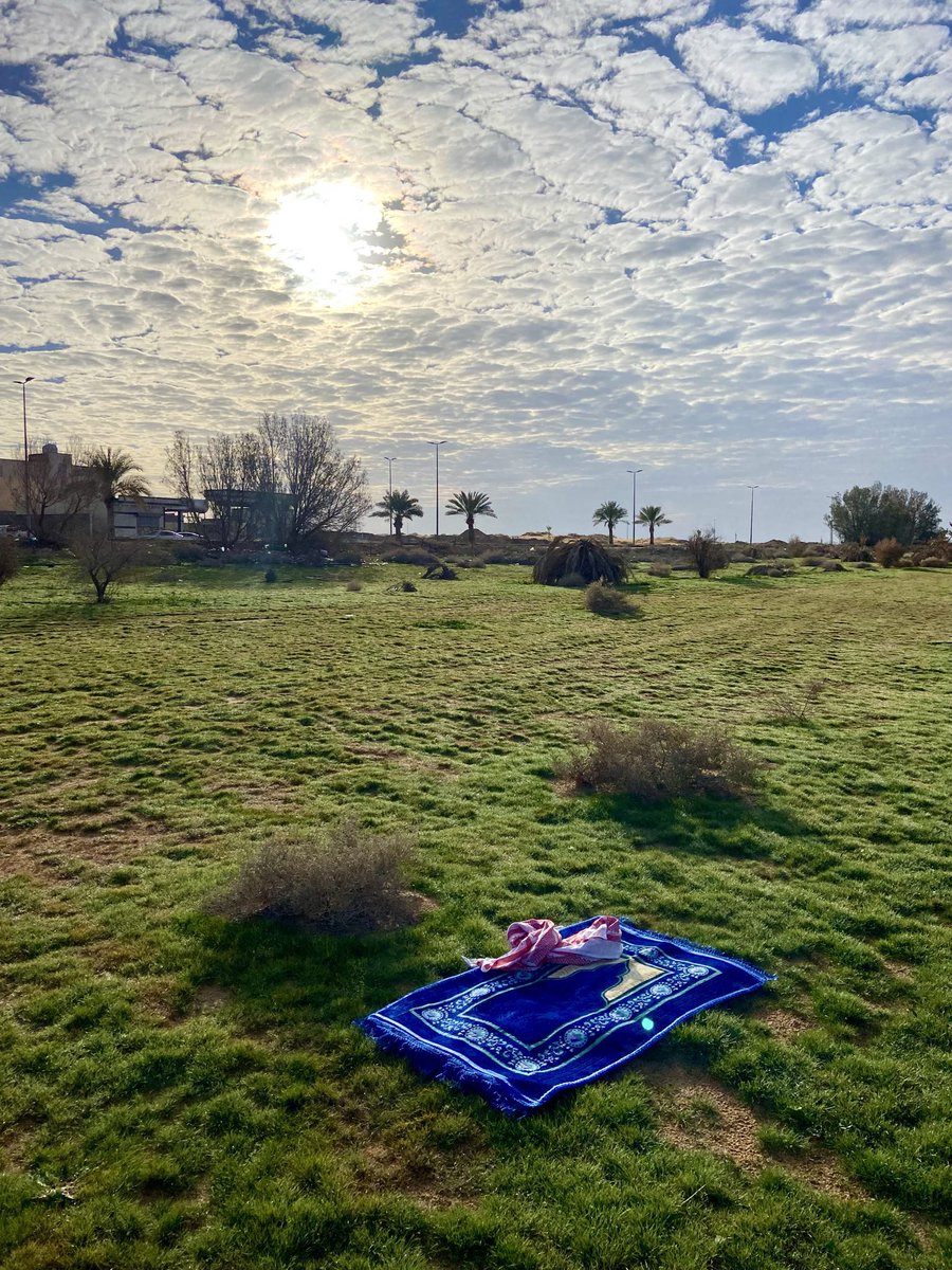 AlShamal Pinterest tweet media