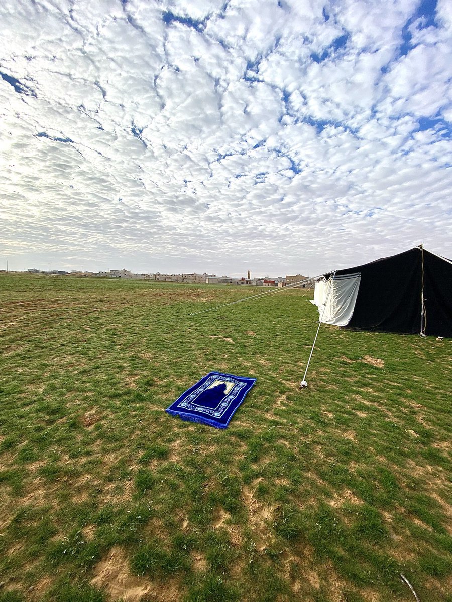 AlShamal Pinterest tweet media