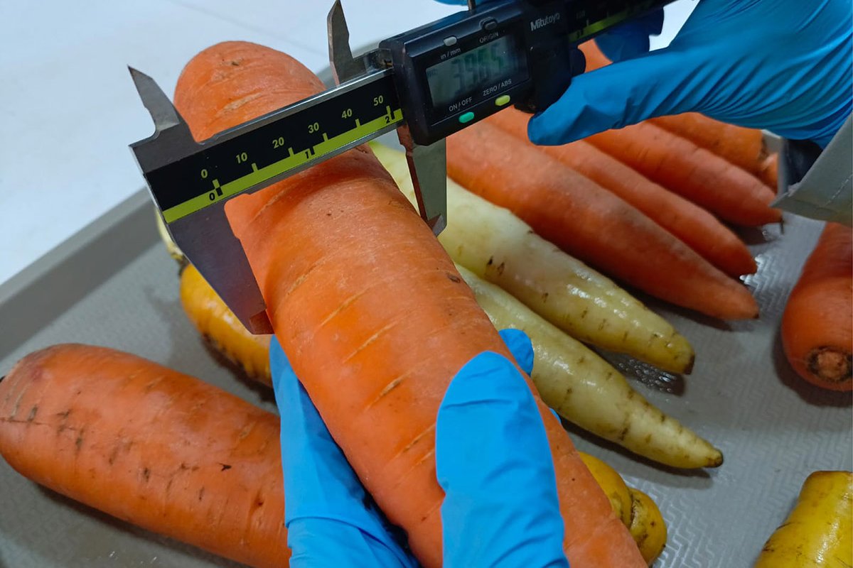 Universidad Nacional de Colombia tweet media