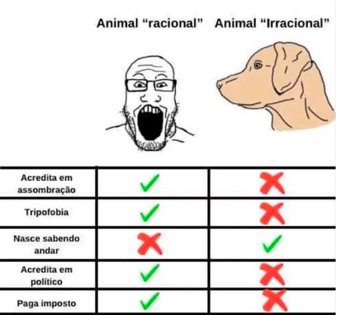 memes extremamente horríveis (ou bons) tweet media