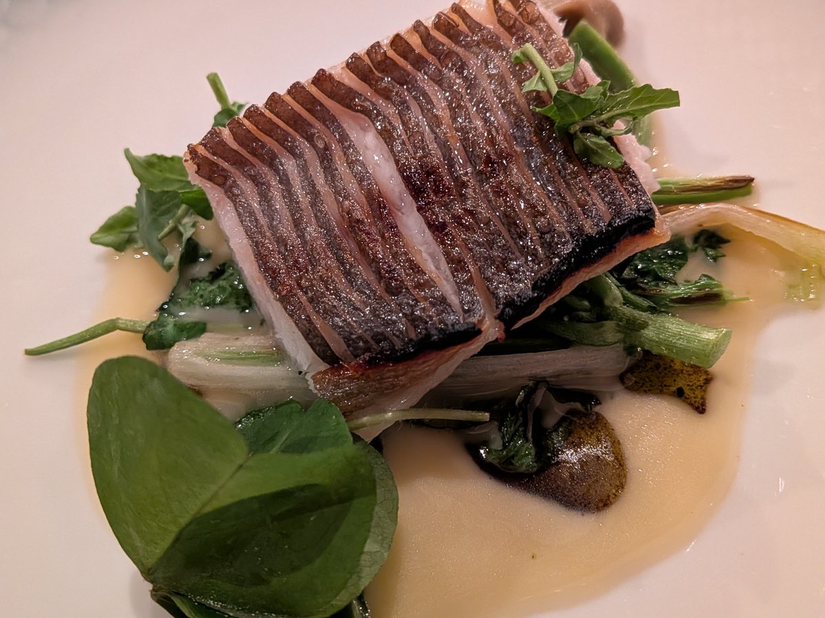 タケマシュラン tweet media