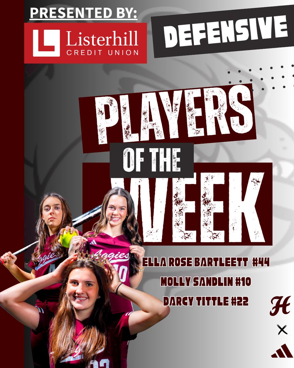 Hamilton Softball tweet media