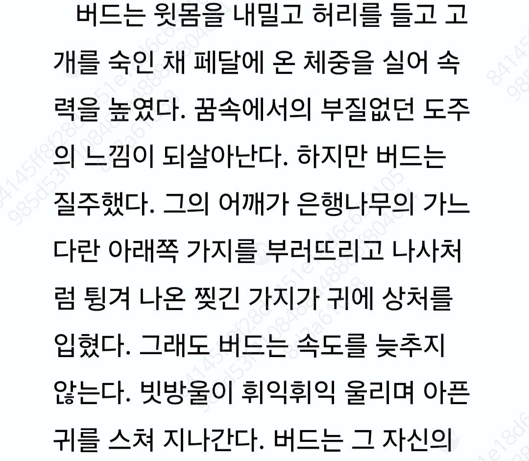 ์๋๐ tweet media