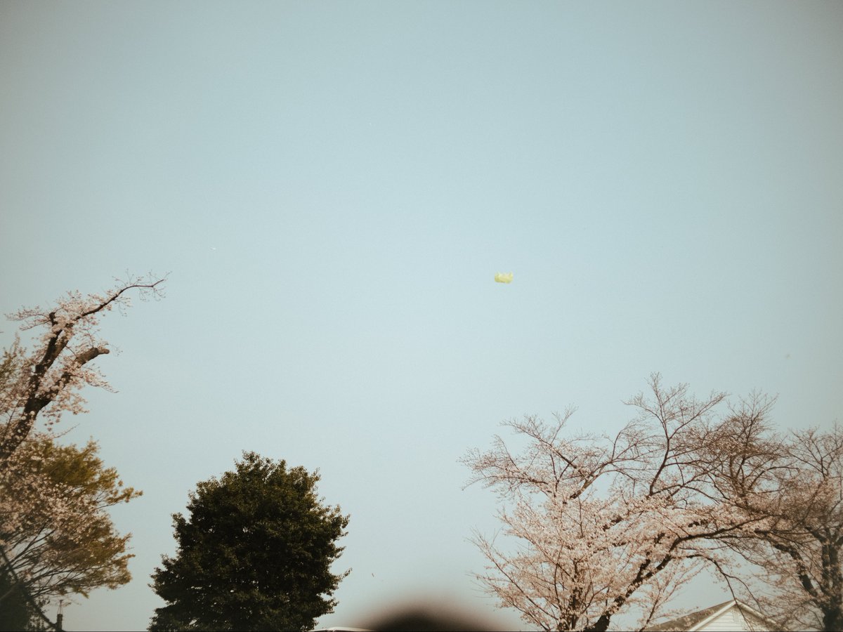 小豆 azuki tweet media