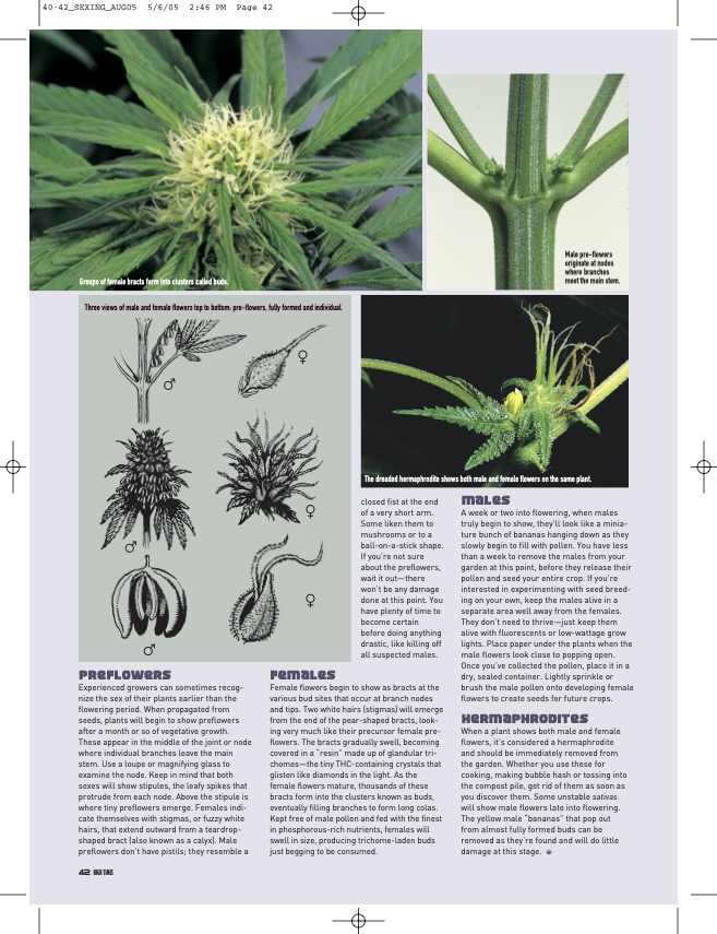 DannyDanko tweet media