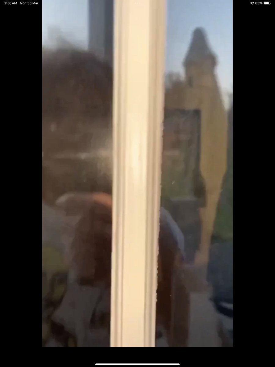 alex2000 tweet media