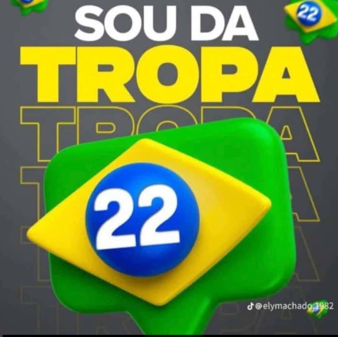 O Gato Bolsonaro 😼 tweet media