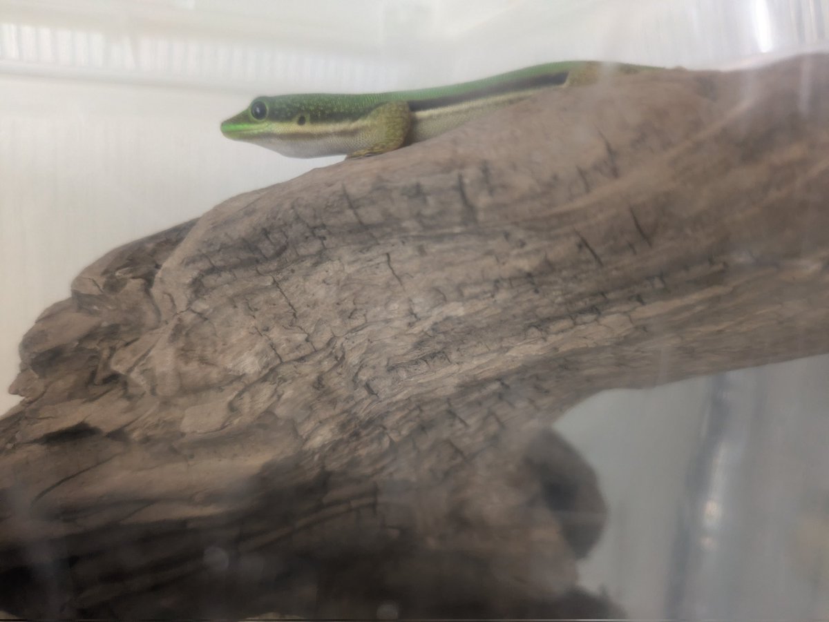 🐉0924 LIFE🐉 tweet media