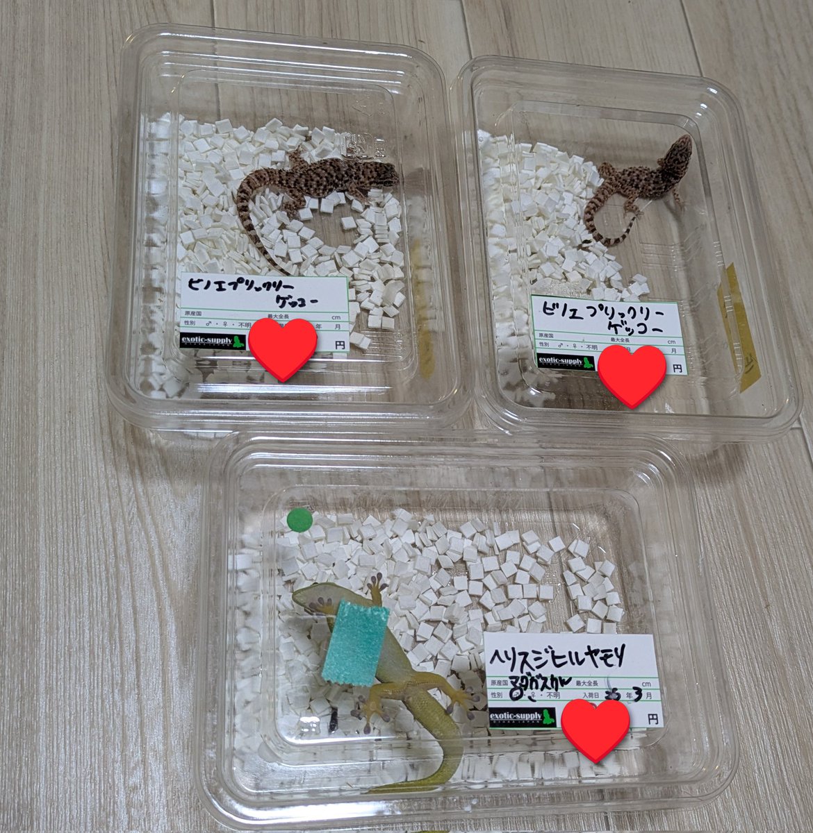 🐉0924 LIFE🐉 tweet media