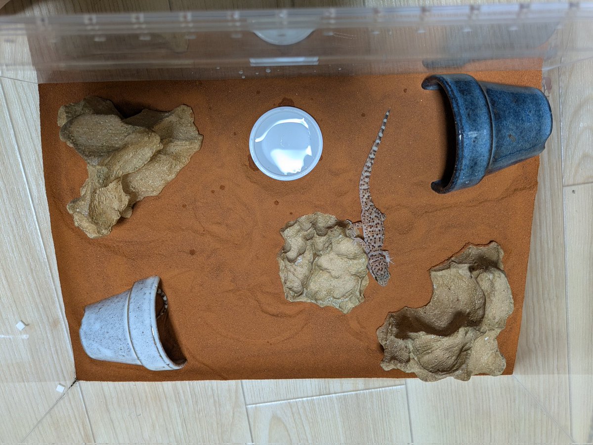 🐉0924 LIFE🐉 tweet media