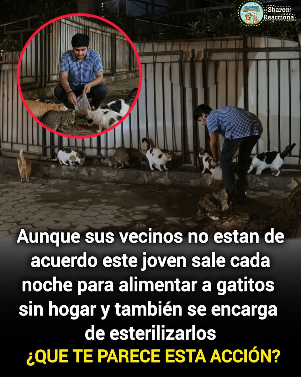 Manu Saenz💛💛 tweet media