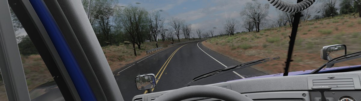 Next Level Sim Gaming tweet media