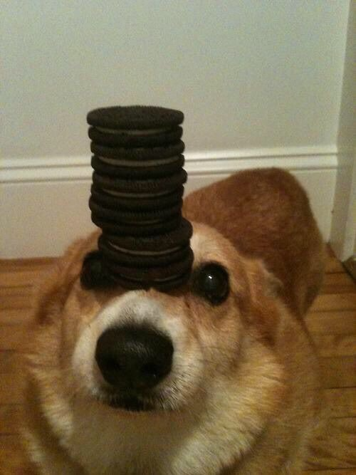 everlasting bliss tweet media