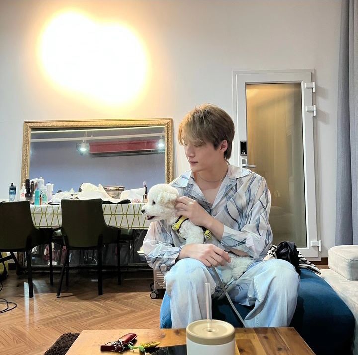 트치더 tweet media