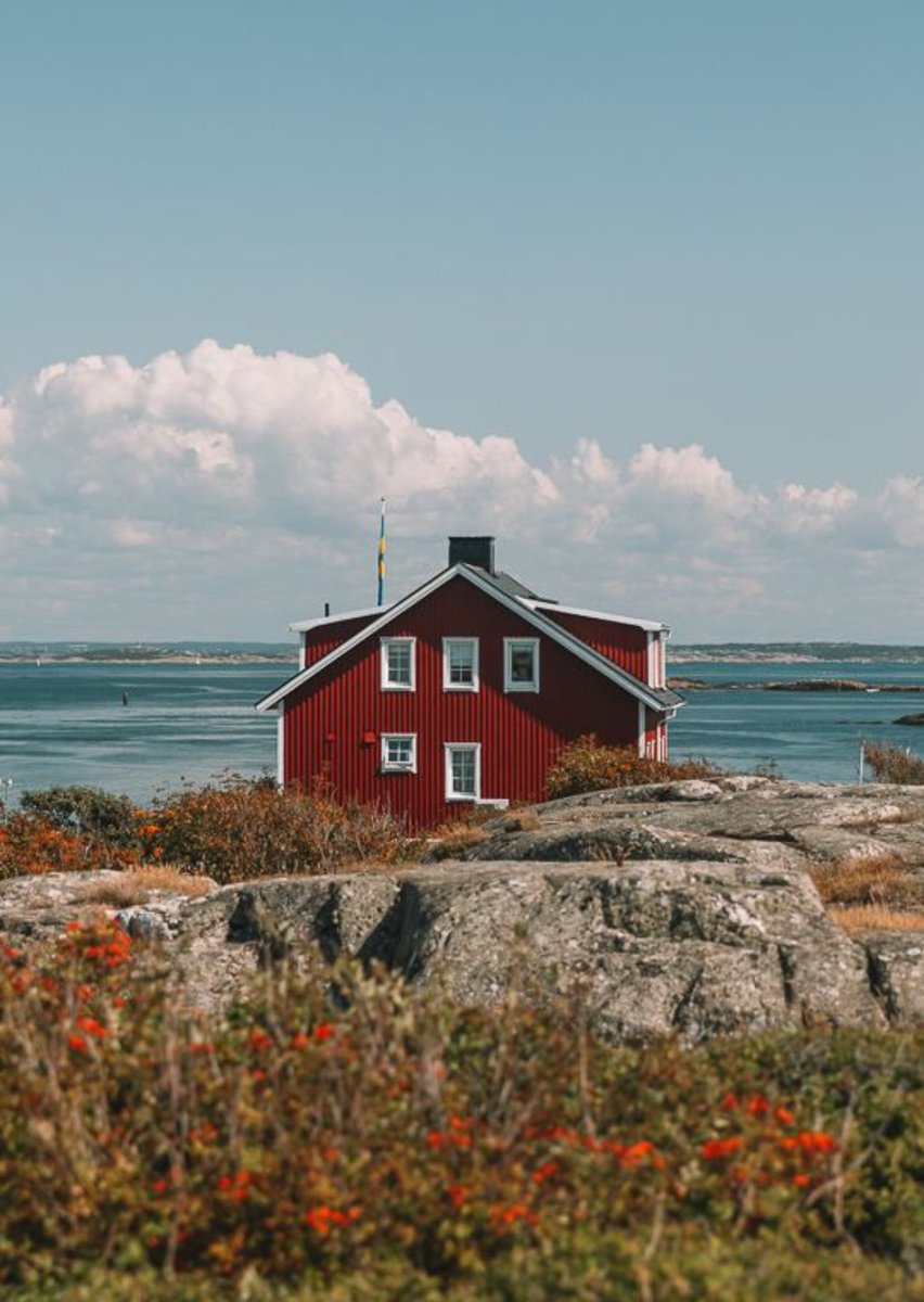 Scandinavian Aesthetics tweet media