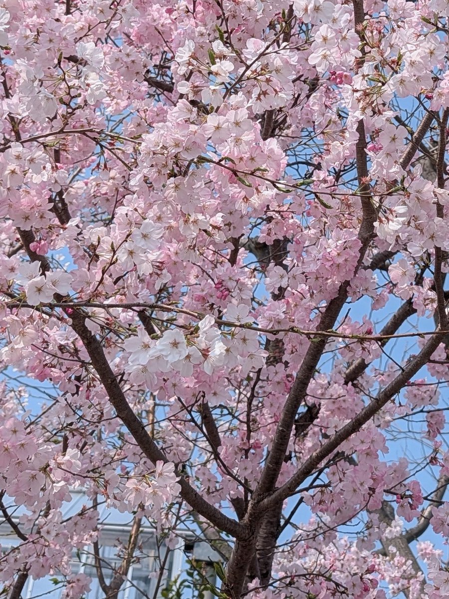 🌺直也❤️‍🔥 tweet media