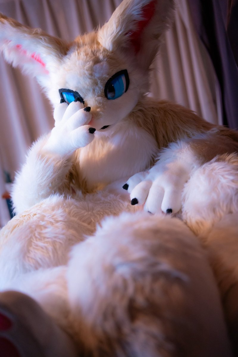 シード tweet media