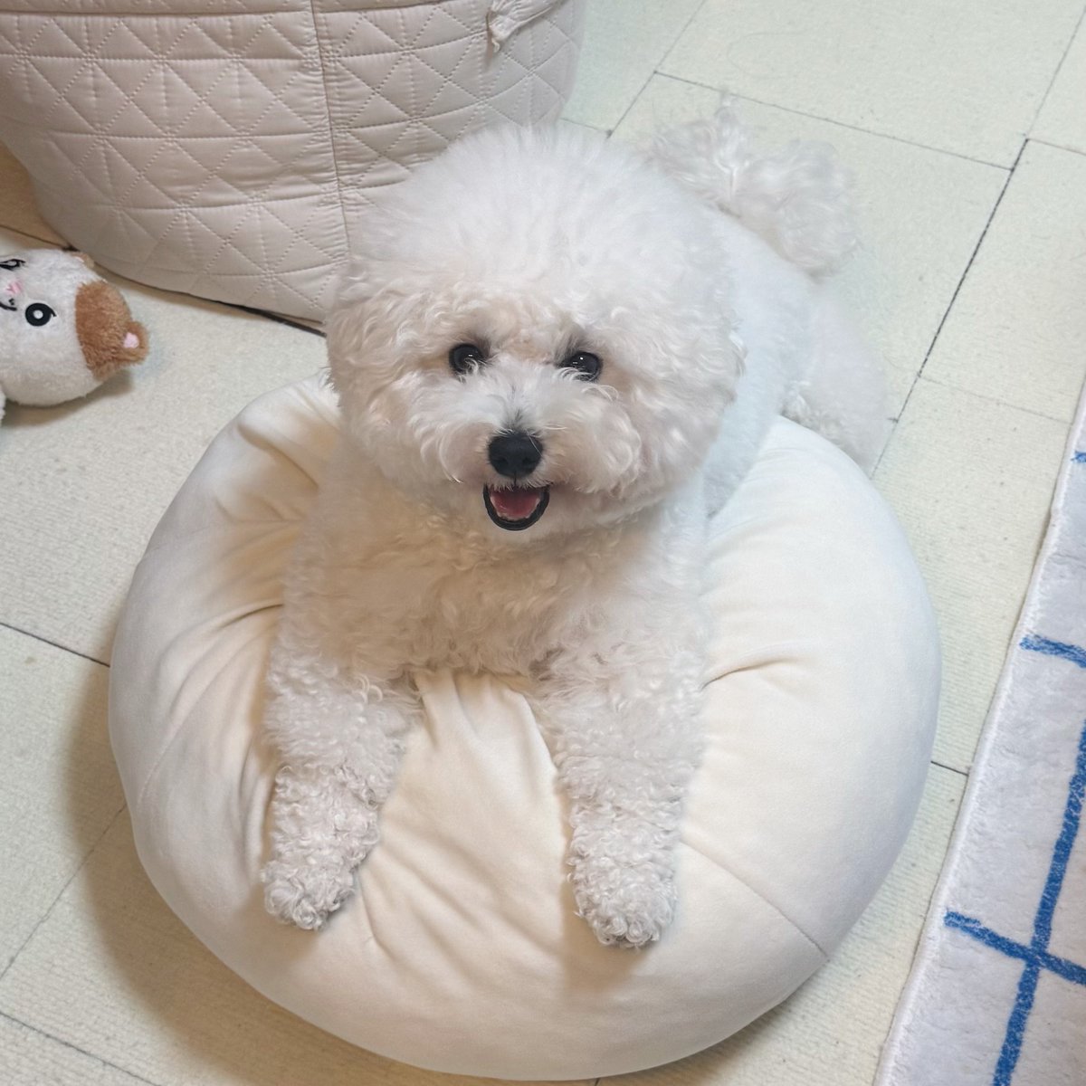 つくね tweet media