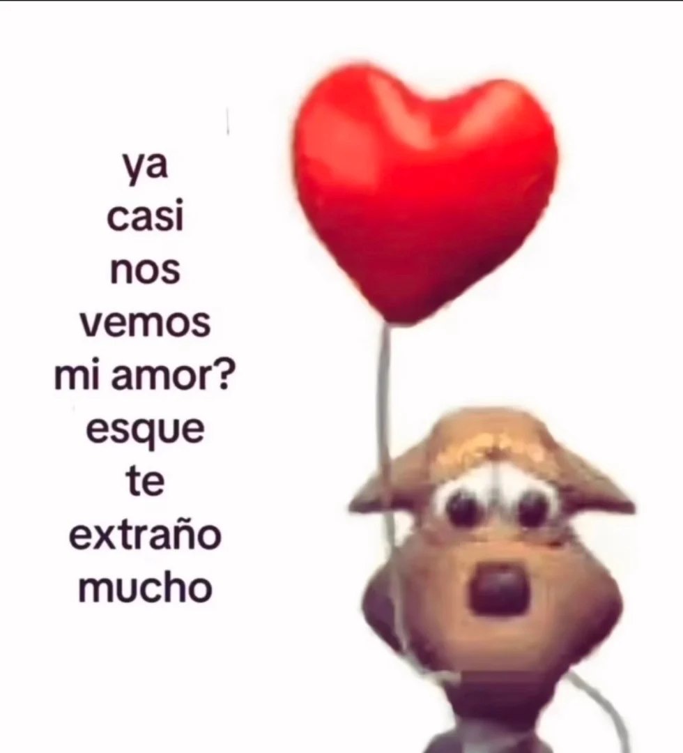 Mundo de Bigotes tweet media