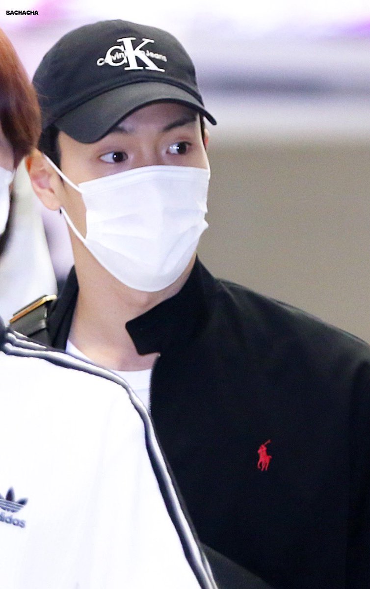 바차차 tweet media