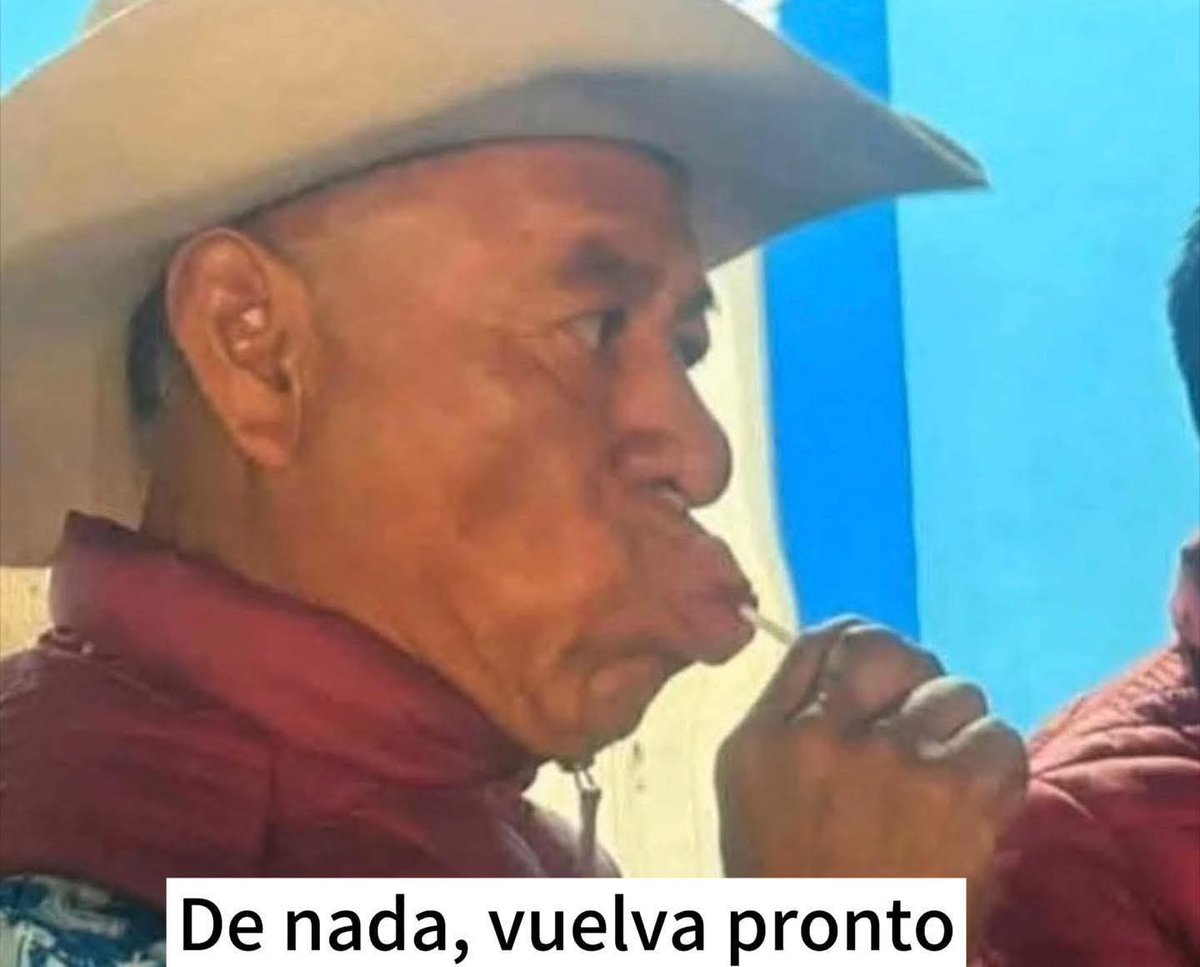 Anahí Mendoza 🐛 tweet media