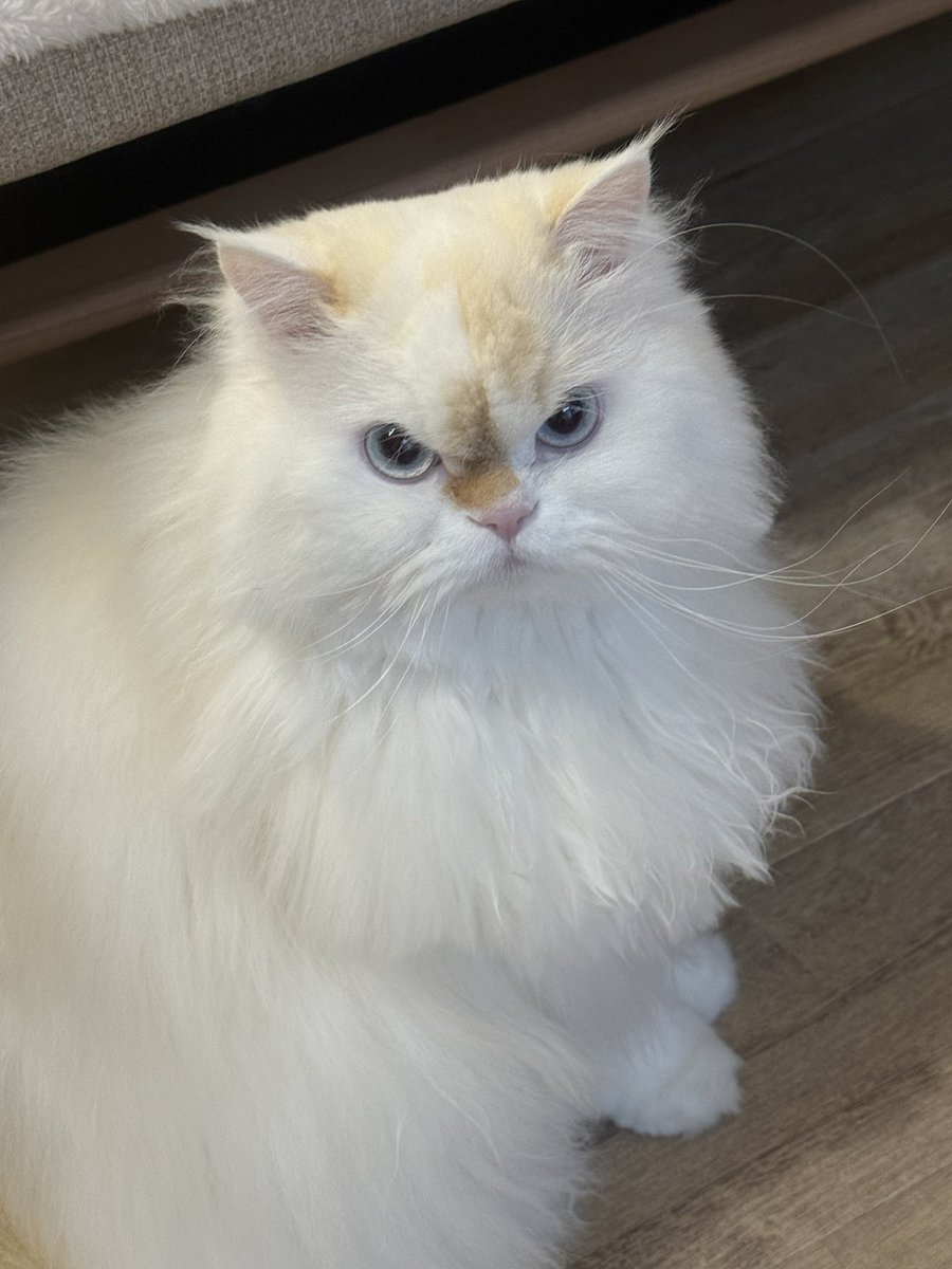 Macha_Zo tweet media