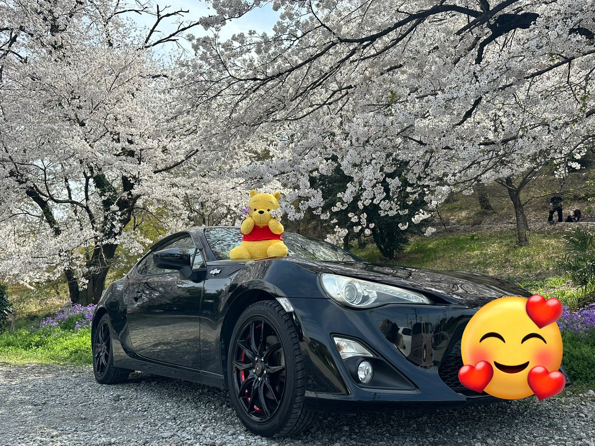 🎳紫 翠🎳 tweet media