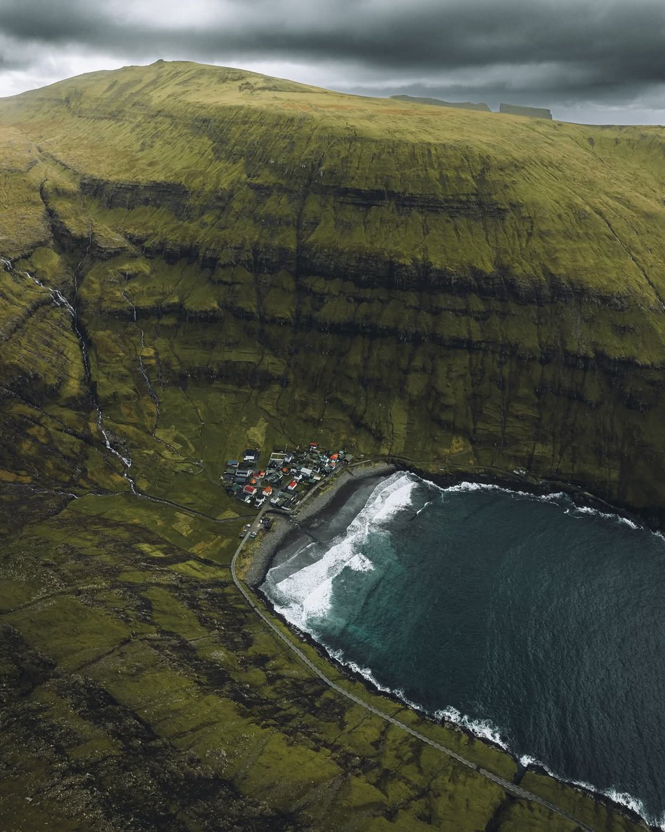 N A T U R E tweet media