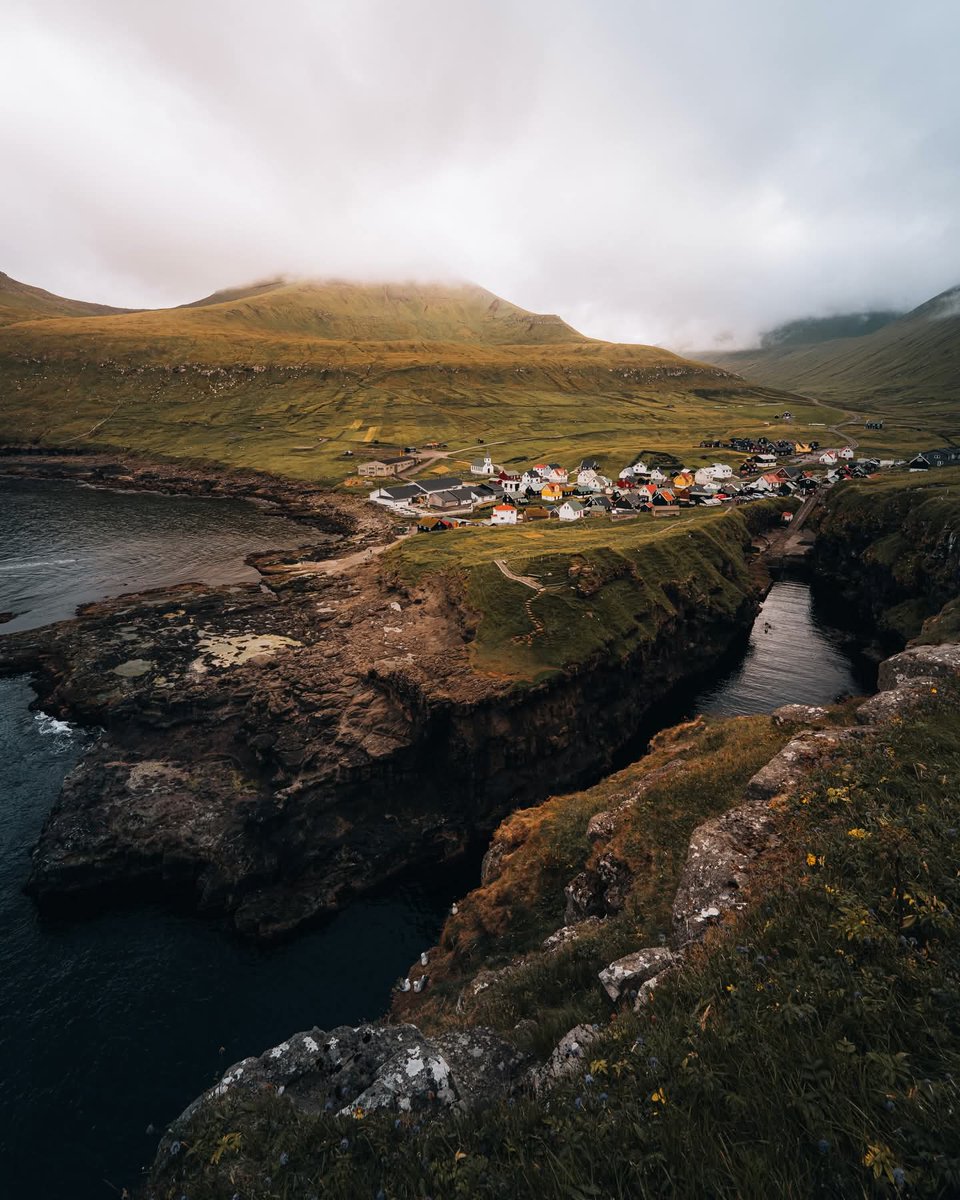 N A T U R E tweet media