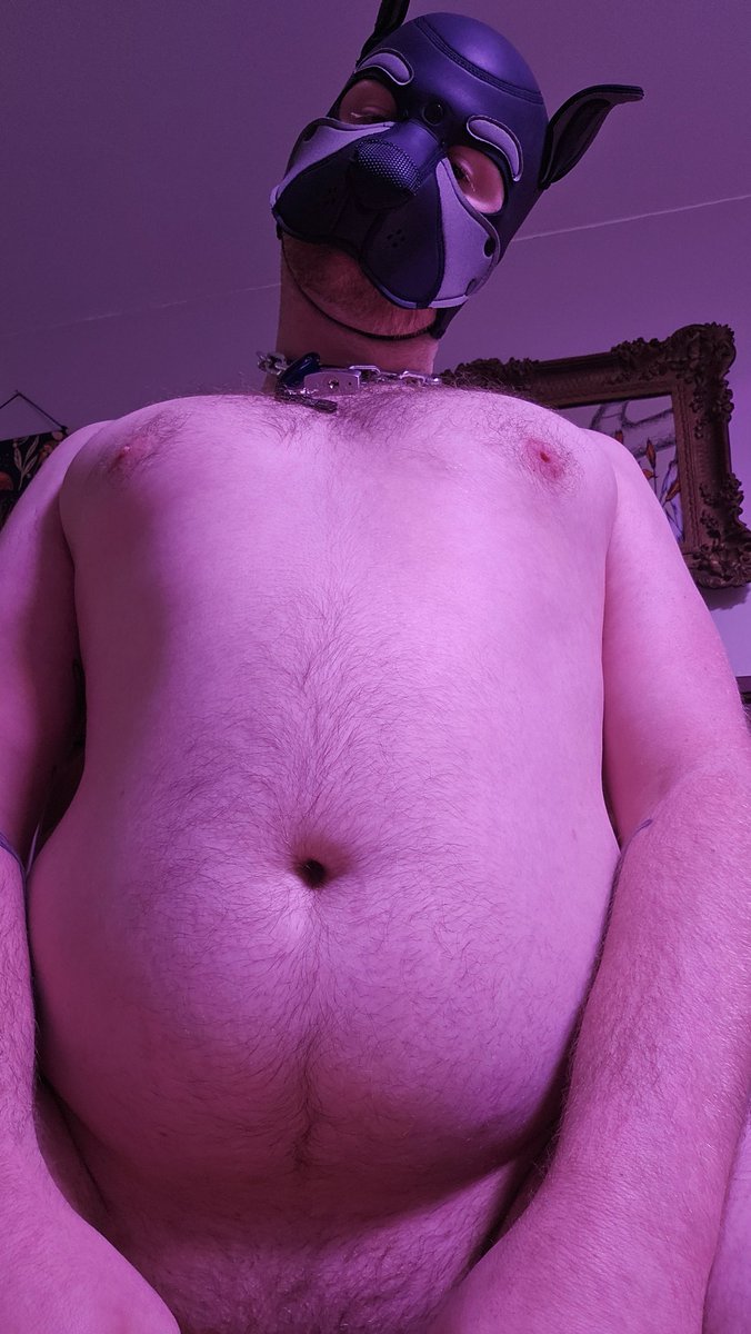 GoodBoyArgo's tweet photo. Huh? #dumbpuppy https://t.co/DBSaCrFcXI
