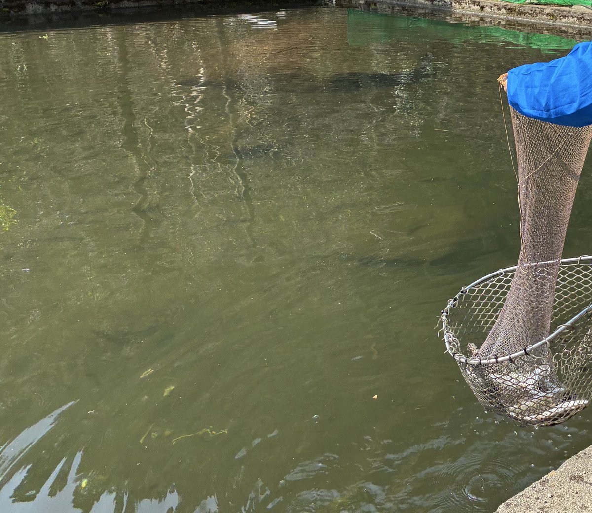 レイ・フロンティア株式会社【公式】 tweet media