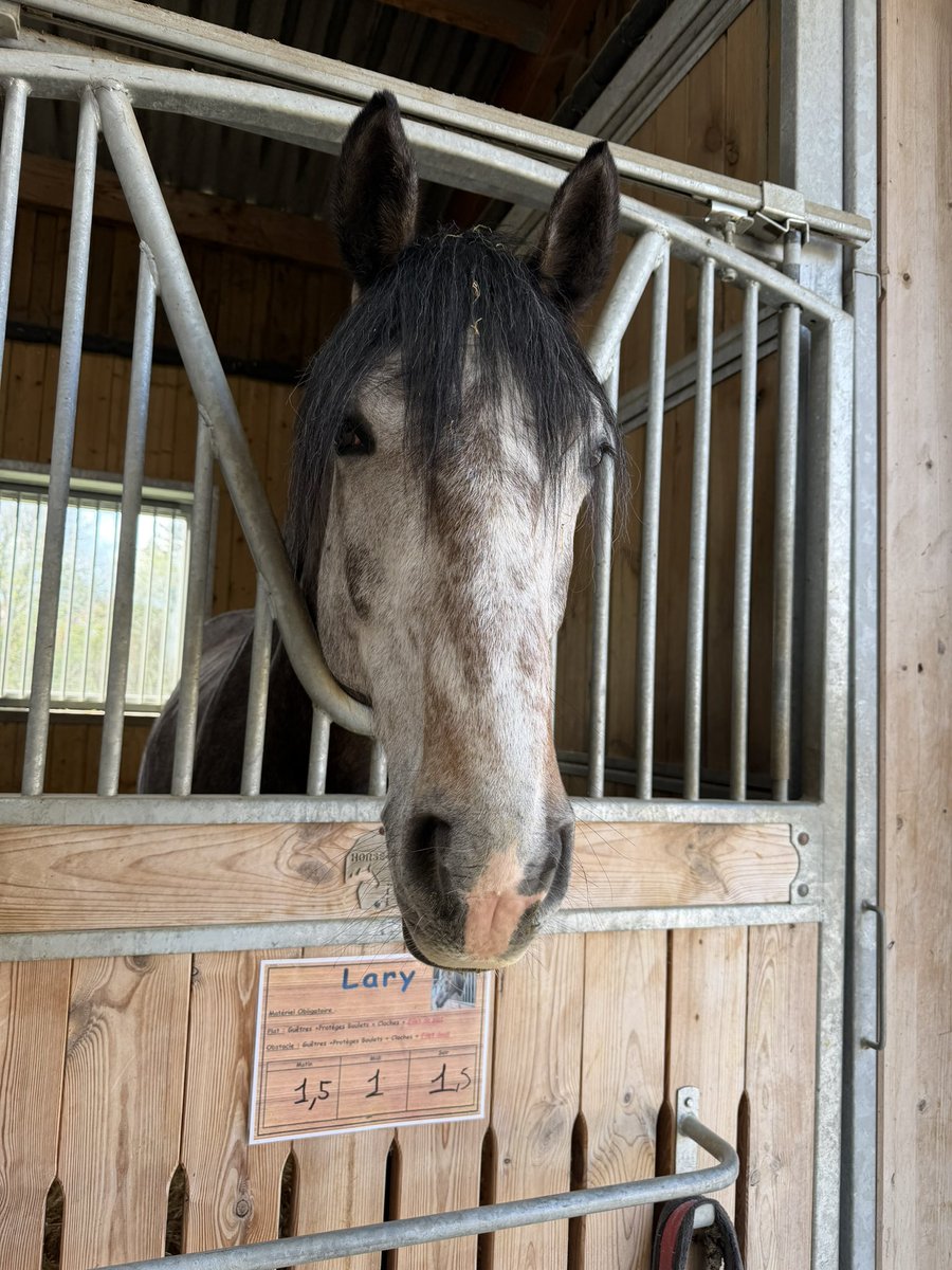 Alexandre 🇫🇷 tweet media