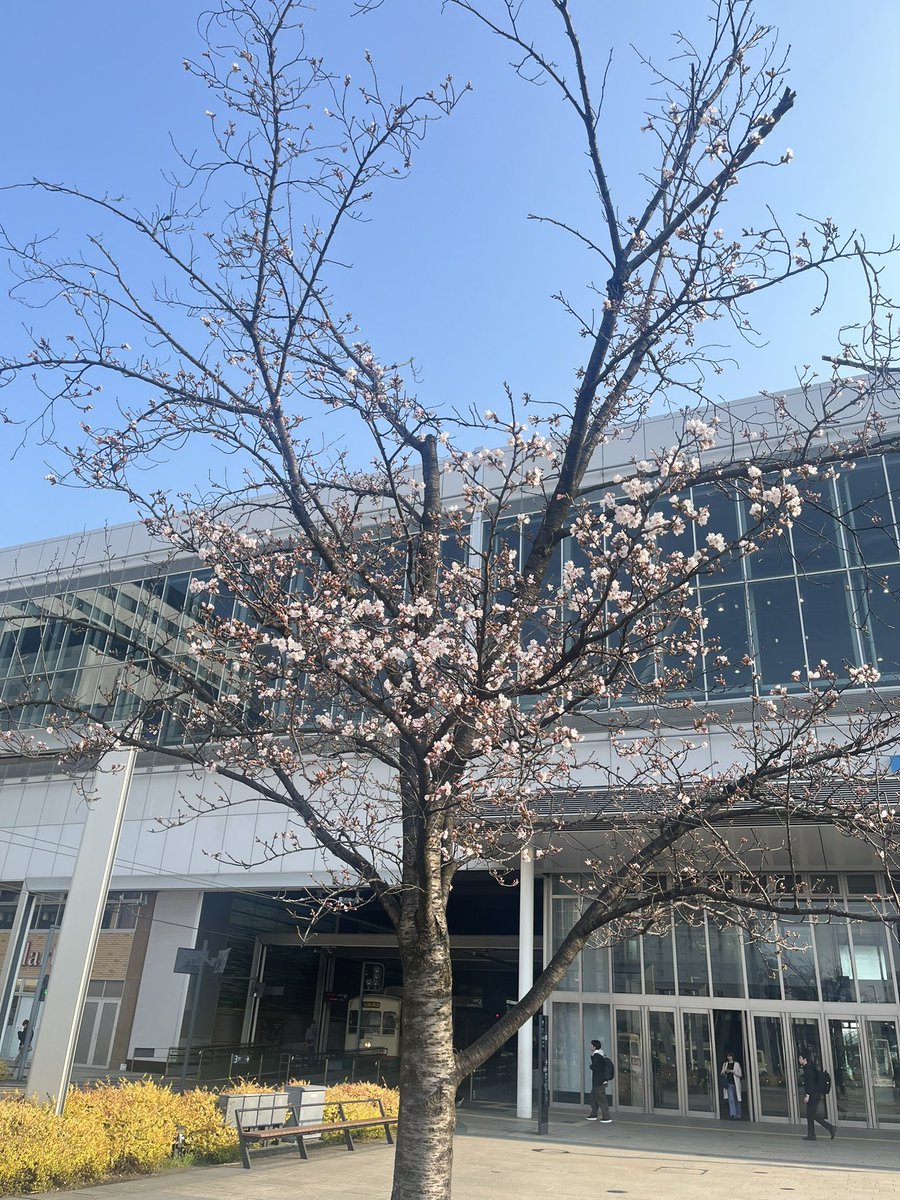 びっぱ tweet media