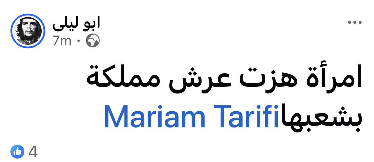 🇯🇴Tamara N. Al Nahar🇯🇴 tweet media