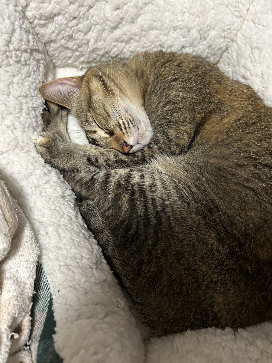 こうじ tweet media